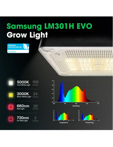 Smart Grow Tent Pack Vivosun - Vgrow Smart Grow Box | growshop.net | VivoSun | Grow Tents
