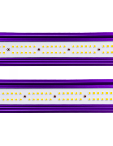 Lampe Lumatek Led Zeus - 600w Pro - 2.9mmol/j | growshop.net | Lumatek | Lampe Horticole