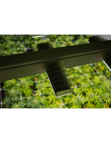 Lampe Sanlight Set Complet Lampe Led 200w - 60x60cm | growshop.net | SANlight | GrowShop
