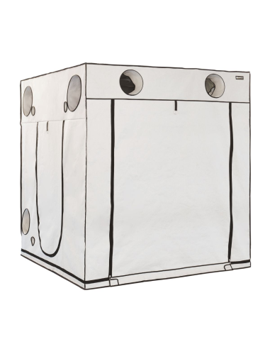 Grow Tent Homebox Ambient Q200+ - 200x200x220 | growshop.net | HOMEbox | GrowBoxen