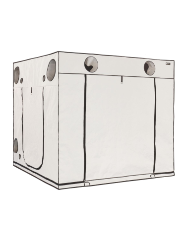 Grow Tent Homebox Ambient Q240+ - 240x240x220 | growshop.net | HOMEbox | GrowBoxen