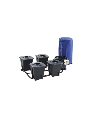 DWC System IWS R-DWC Pro avec Timer - 4 Pots - 100L Tank | growshop.net |  | Hydroponie