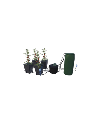 DWC System IWS R-DWC Pro avec Timer - 4 Pots - 100L Tank | growshop.net |  | Hydroponie