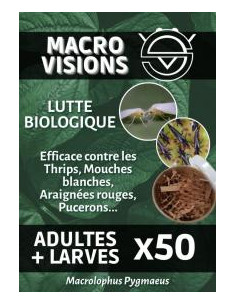 Lutte Biologique - Huile de Neem Terralba | growshop.net | Terralba | Engrais