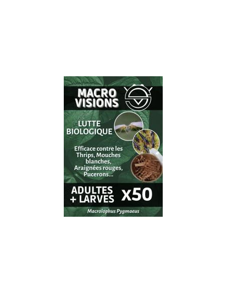 Biological Control - Macrolophus - Adults + Larvas Mix (x50, x125) | growshop.net |  | Nutrients