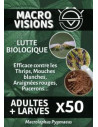 Biological Control - Macrolophus - Larvas (x50, x125, x500) | growshop.net |  | Nutrients