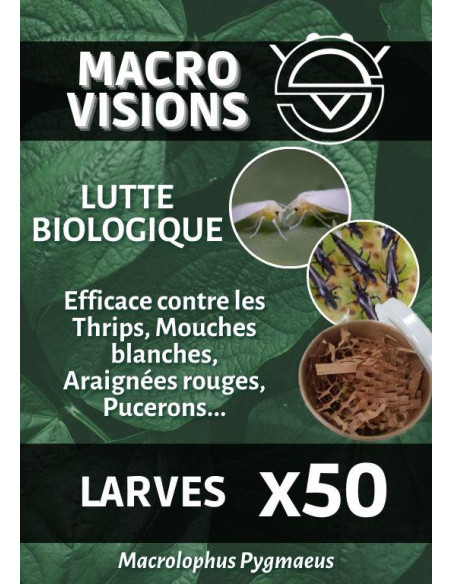 Biological Control - Macrolophus - Larvas (x50, x125, x500) | growshop.net |  | Nutrients