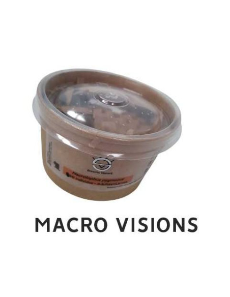 Biological Control - Macrolophus - Larvas (x50, x125, x500) | growshop.net |  | Nutrients