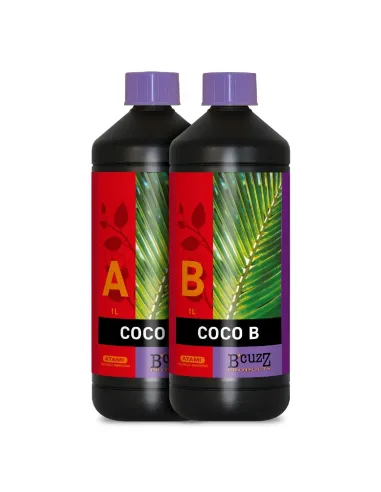 Pack Atami B'cuzz Bloombastic Box Coco Nutrition