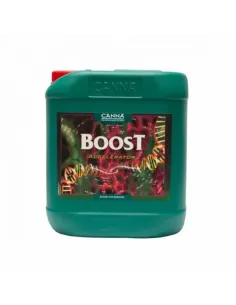 Engrais Canna BOOST ACCELERATOR 2