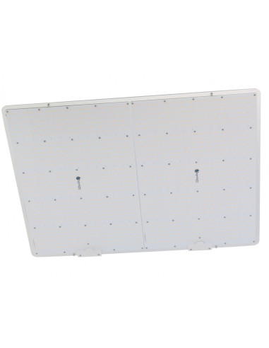 Licht Agrolight Led QUANTUM BOARD DIMMABLE - 660W | growshop.net | Agrolight Led | GrowShop