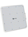 Licht Agrolight Led QUANTUM BOARD DIMMABLE - Samsung LM301B - 450W | growshop.net | Agrolight Led | GrowShop