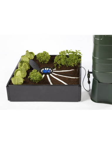 Watering Autopot Aquabox Spyder Kit | growshop.net | Autopot | Hydroponics