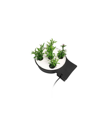 Watering Autopot Aquaplate Round For Xl Pot | growshop.net | Autopot | Hydroponics