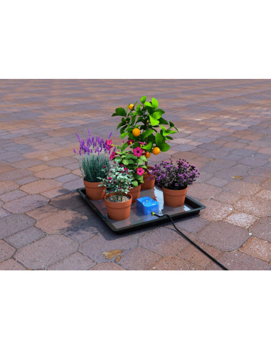 Bewässerung Autopot Easy2go Kit | growshop.net | Autopot | Bewässerung