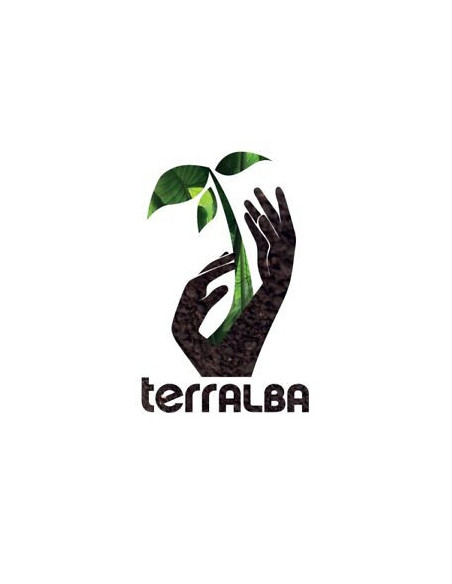 Terralba