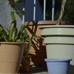Choisir les bons pots pour vos plantes
